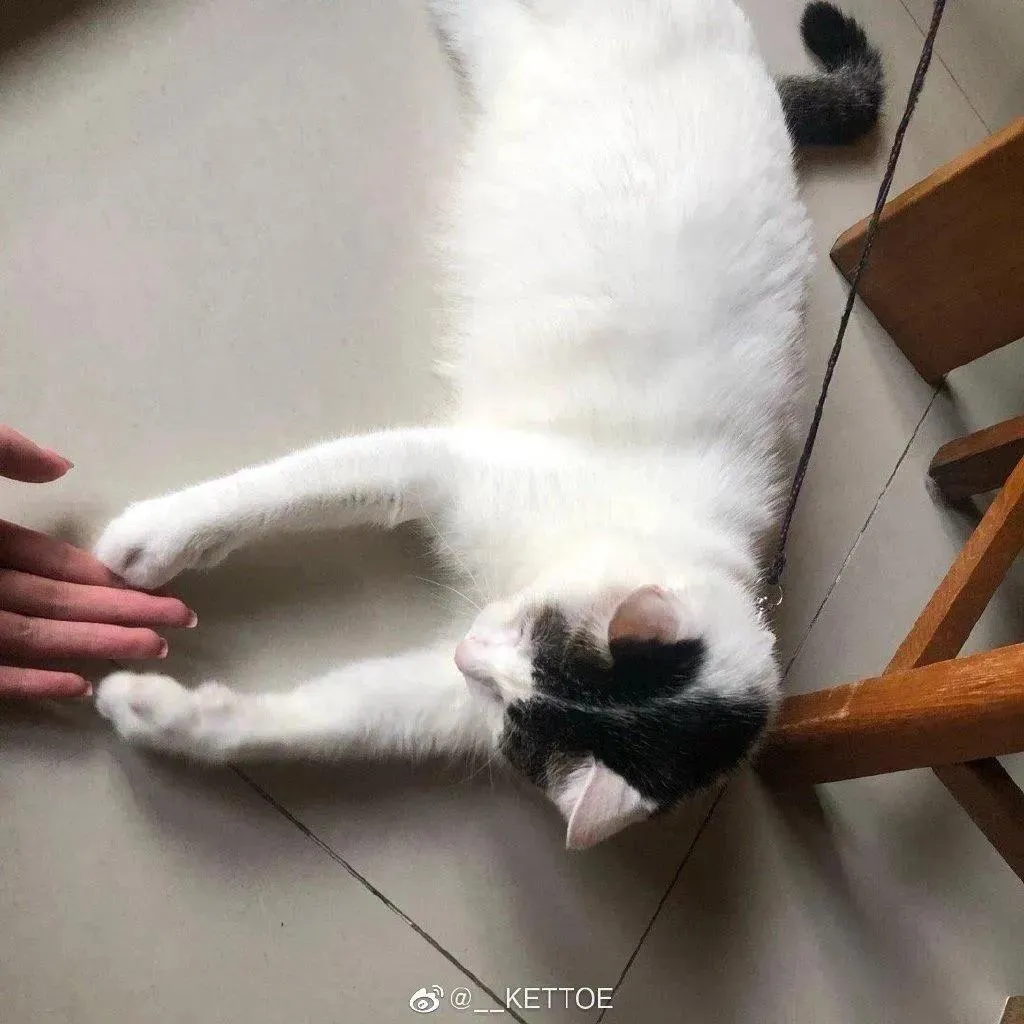 Kettoe – NO.01 微博配图[12 [76P]插图9